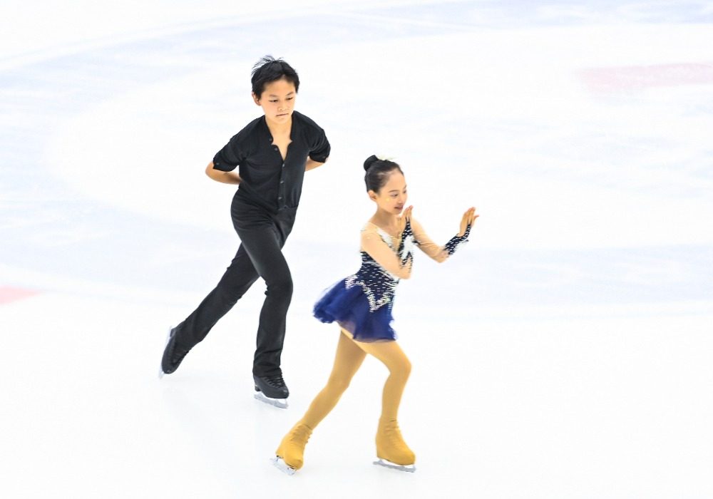 图片新闻, 重庆首个花, img 图片新闻, 重庆首个花, img