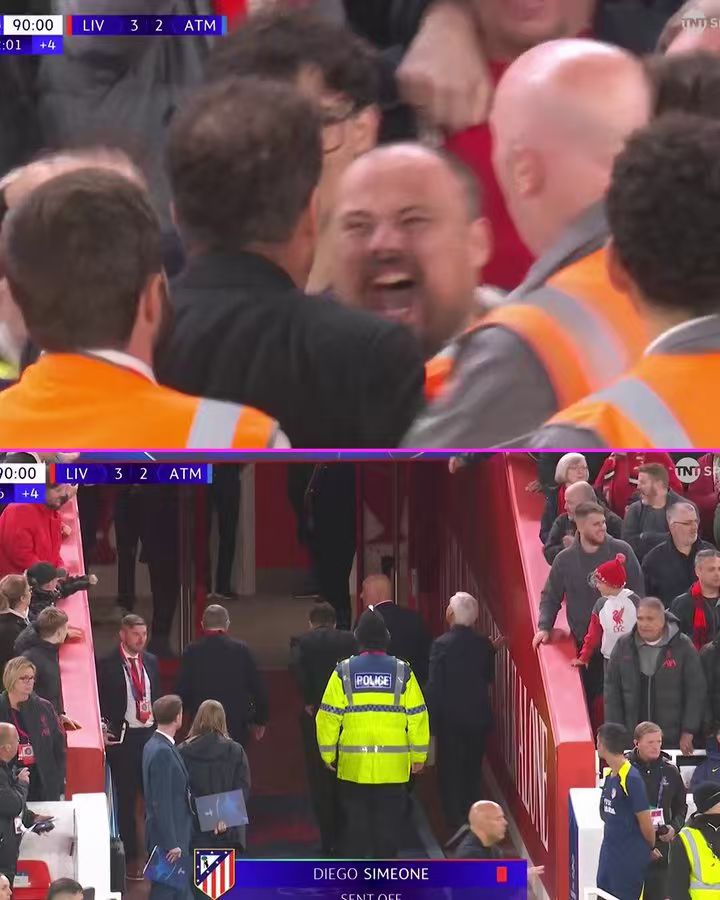 我行为不合, 对您的国籍, 是侮辱性言 我行为不合, 对您的国籍, 是侮辱性言